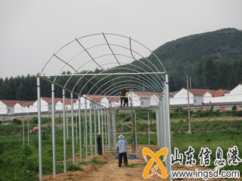 IMG_0036_副本.jpg