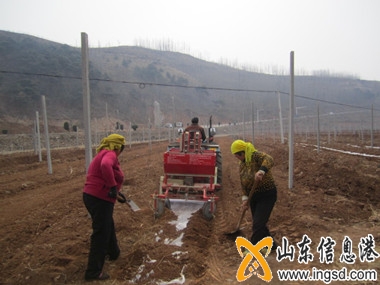 農(nóng)機(jī)手正在覆膜_副本.jpg
